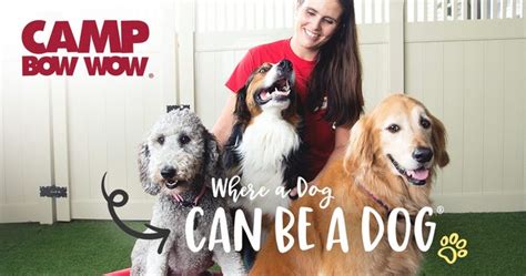 Camp Bow Wow Boise is the premier doggy day and overnight camp. . Camp bow wow swansea